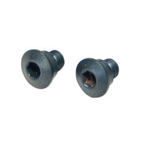 Two black hex socket screws isolated.